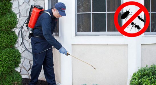 Ulubey Bit İlaçlama böcek ilaçlama ve haşere kontrolü — ilaclama-tr.com